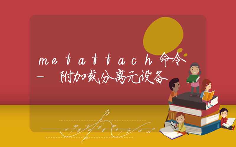 metattach命令 – 附加或分离元设备